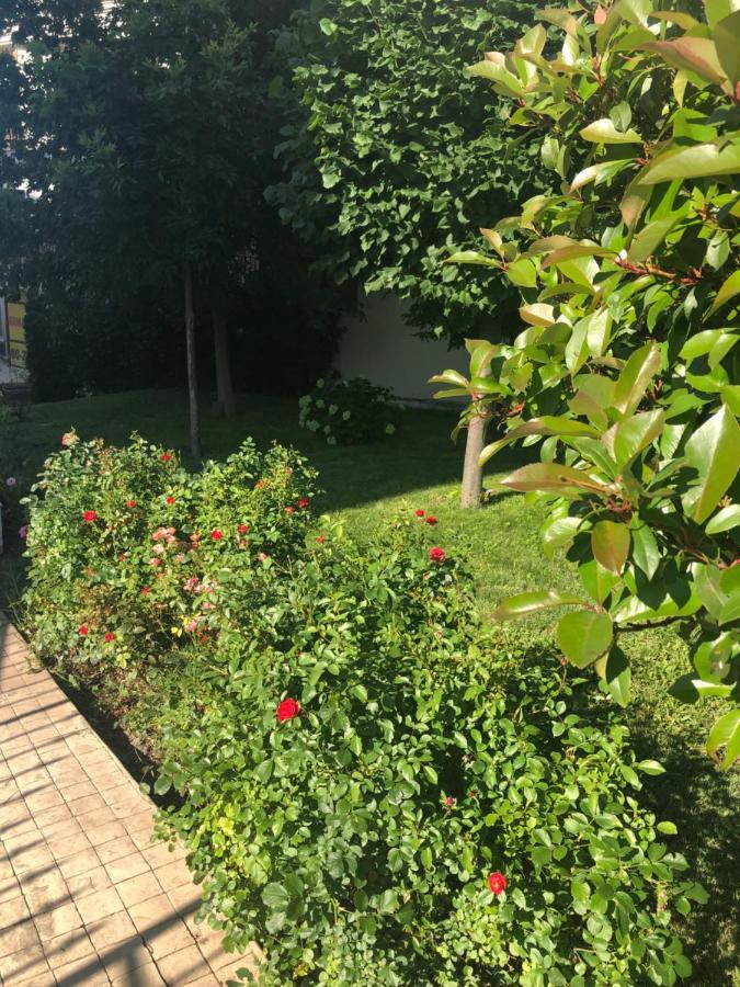 Вила Калабрия Sweti Wlas Exterior foto